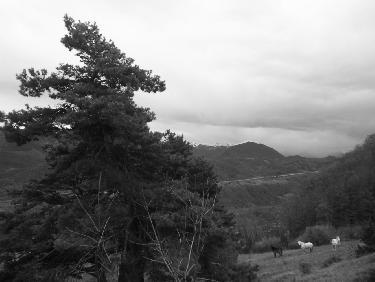 Un vent tempÃ©tueux