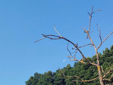 Un vol-rando périlleux