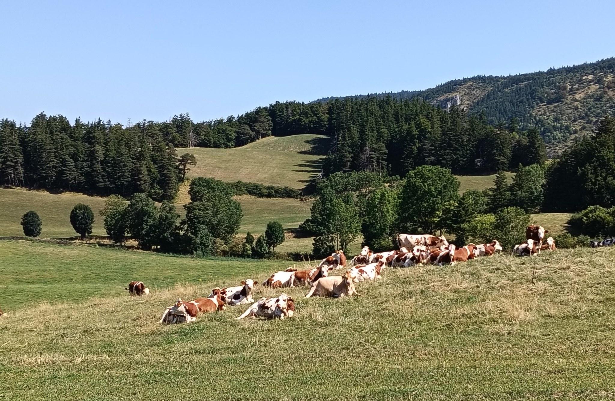 Un vol turbulent
