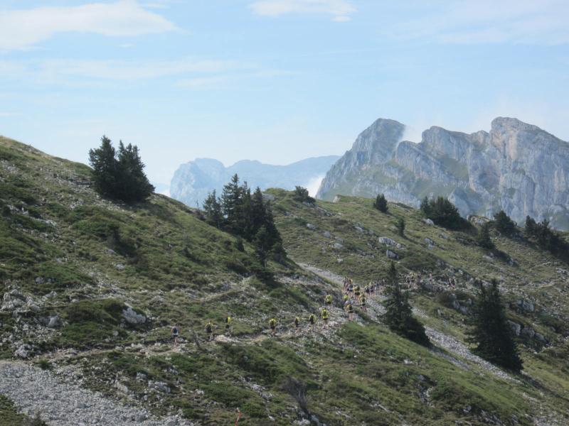 un peloton de trailers