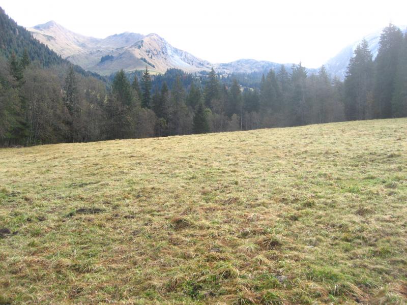 un petit carré pour poser