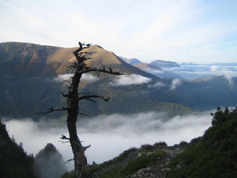 un peu de brume apres le départ ...