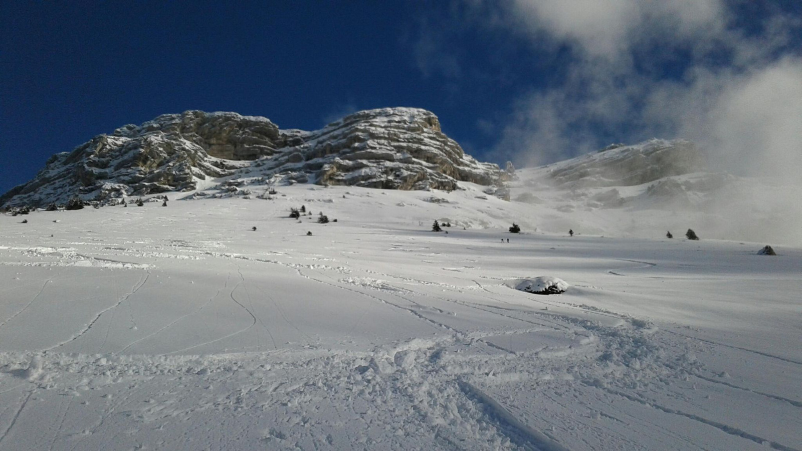 Une dent arrachée