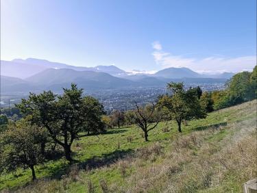 Une descente affolante 