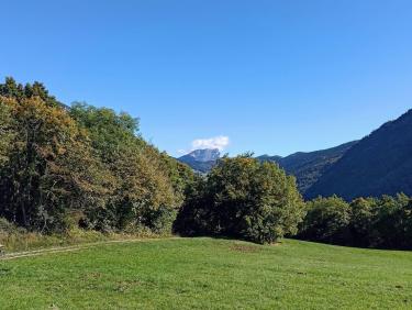 Une descente affolante 