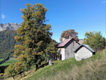 Une descente affolante 