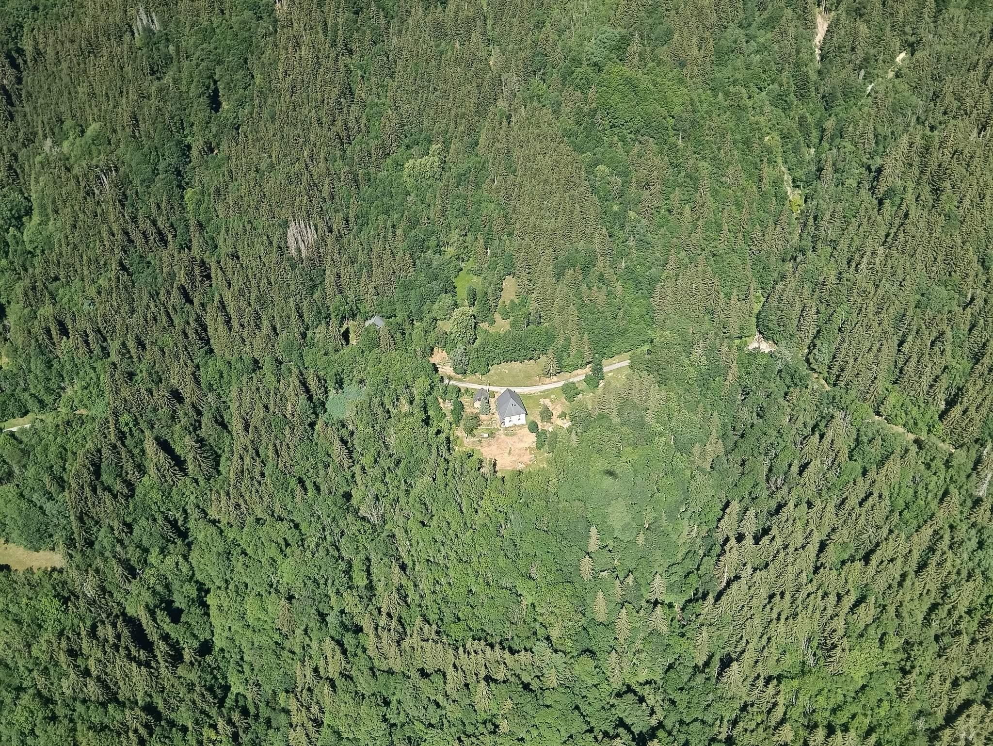 Une grange perdue dans la forêt 