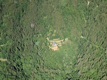 Une grange perdue dans la forêt 