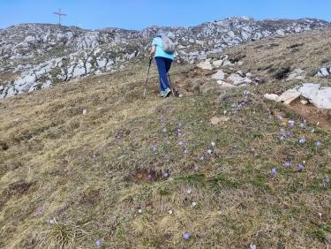 Une histoire d&apos;amour 