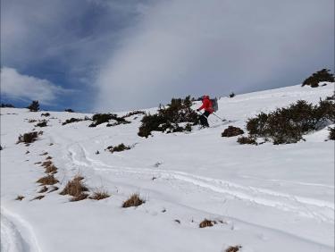 Une neige molle et collante