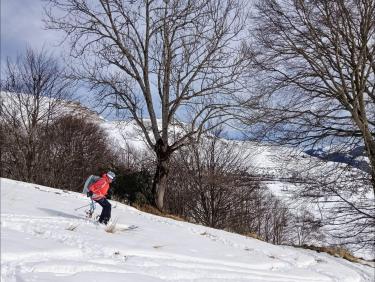 Une neige molle et collante