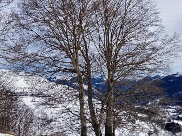 Une neige molle et collante