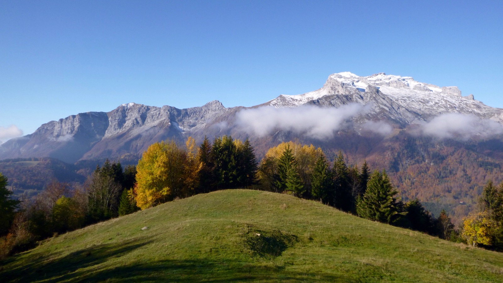 La tournette