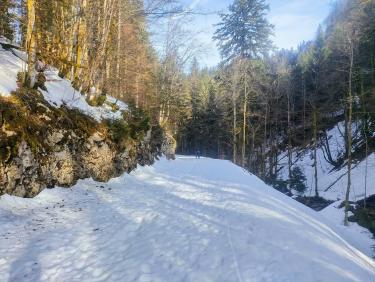 Une épopée homérique autour de la Grande Sure