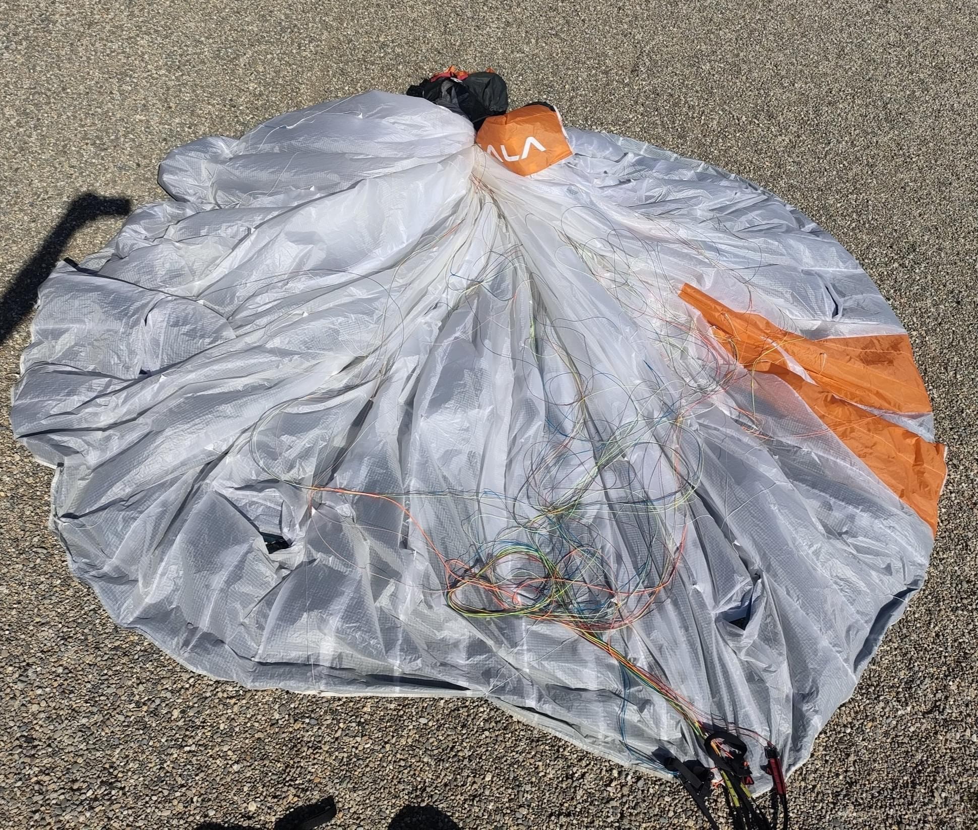 Une sortie imprévue