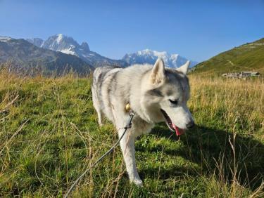 Shooting photos aux Posettes