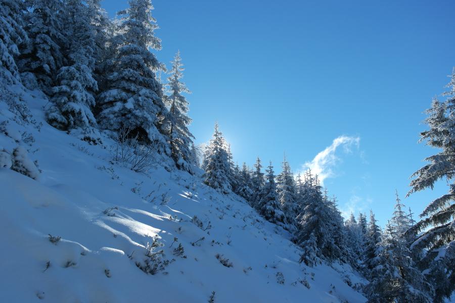 Val Pelouse