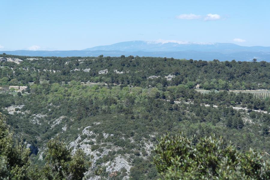 Val du Loup et Mt Ventoux.