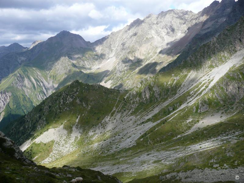 Vallon.