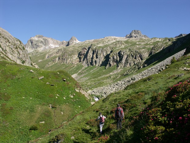Vallon
