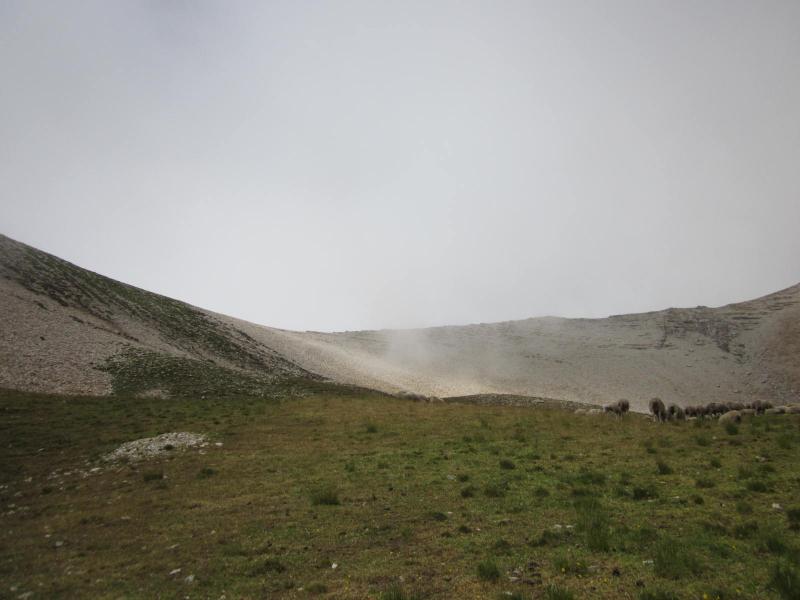 Vallon Froid