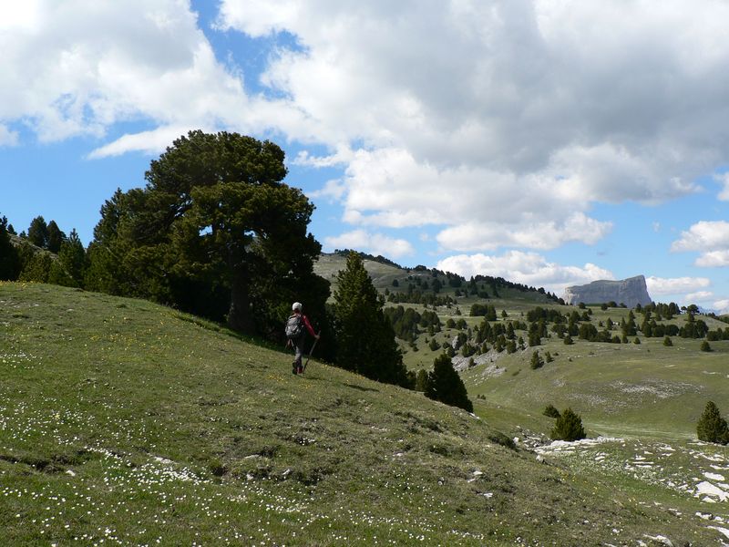 Vallon de Combau et Mont Aiguille