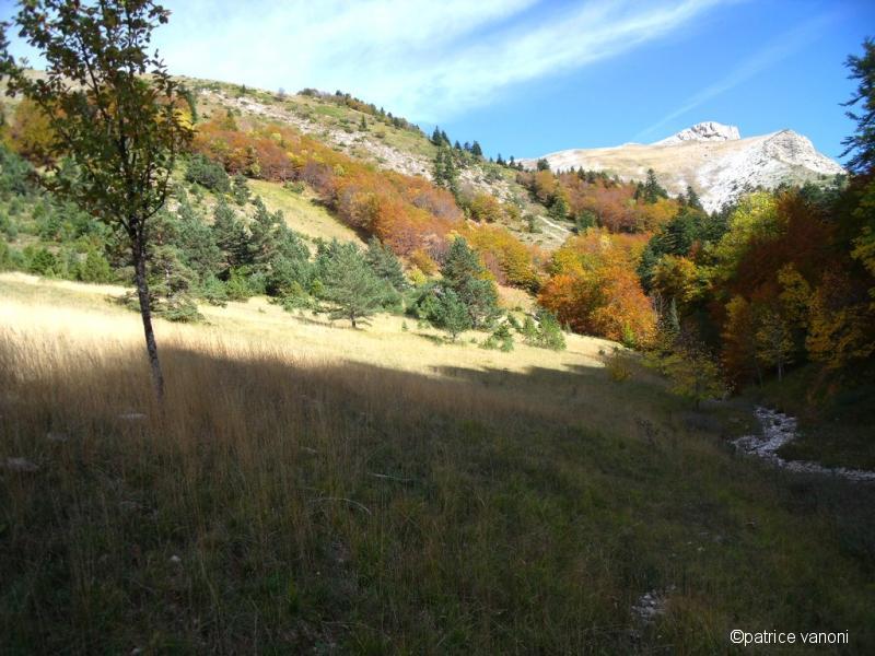 Vallon de Lauzier Merdarie