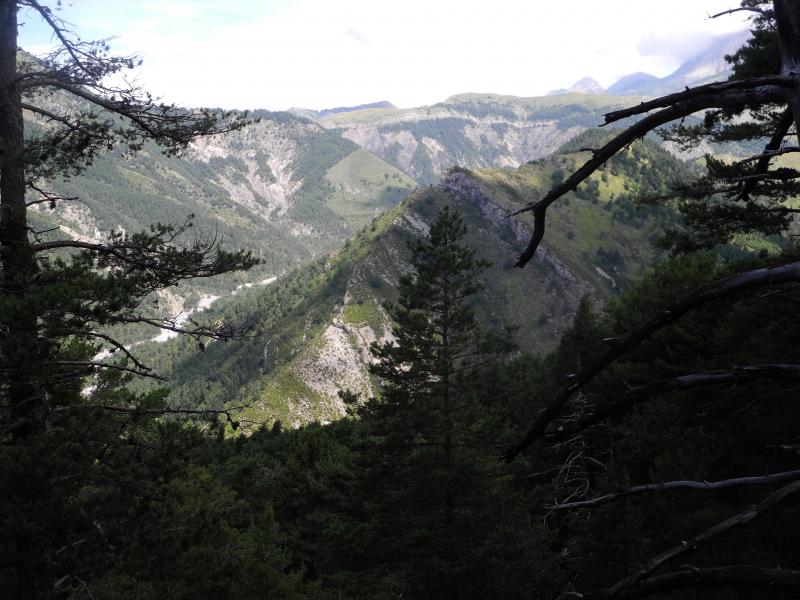 Vallon de Pré Fourcha
