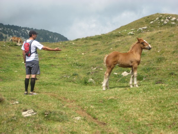 Vallon de l'Alpe