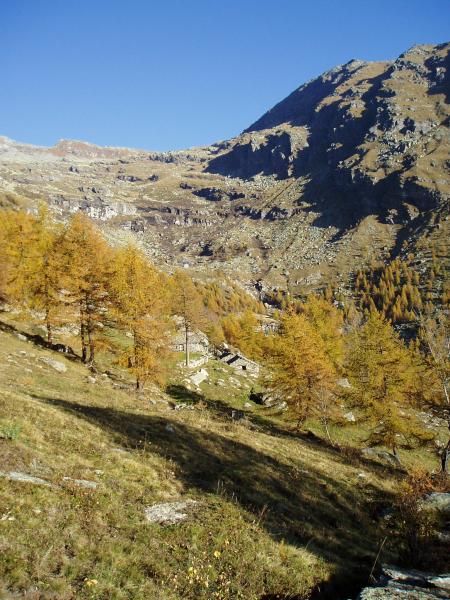 Vallon de la Vercellina (Rivotti)