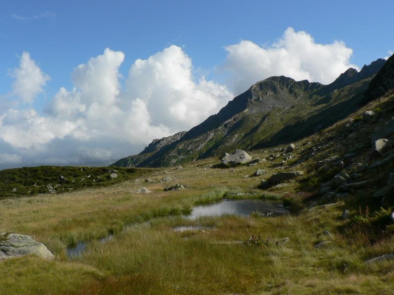 Vallon du Bridan