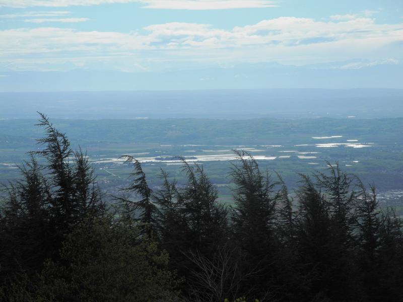 VallÃ©e du RhÃ´ne (dÃ©tail)