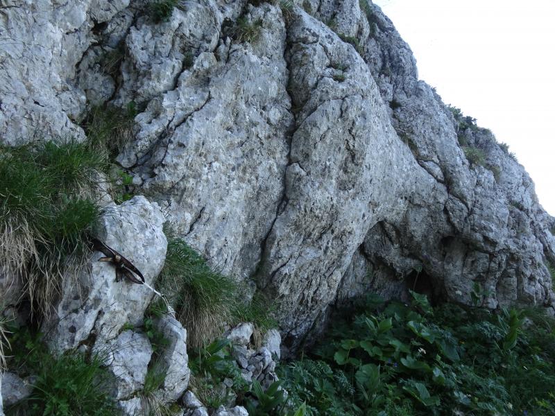 Variante brèche du Gerbier