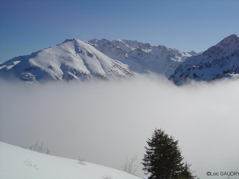 Vennetier