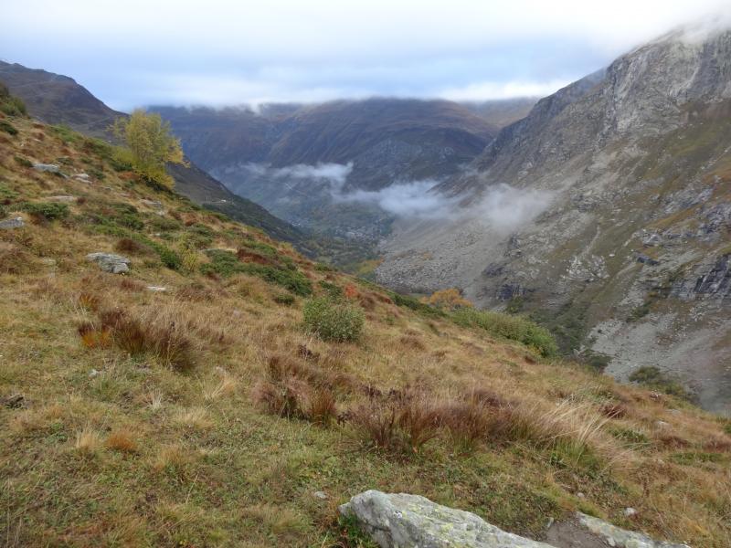 Vers Bonneval sur Arc