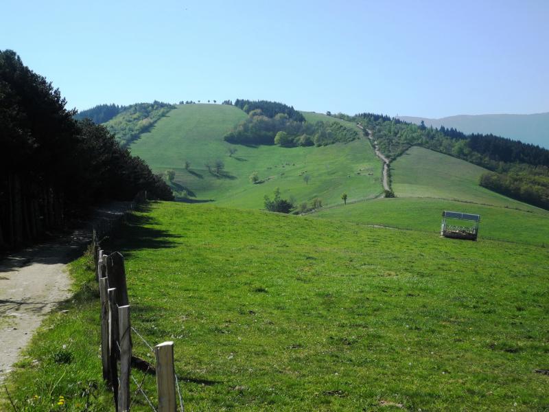 Vers le CrÃªt de Montieux