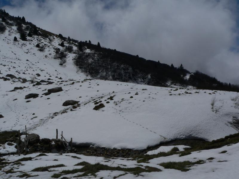 Vers le col des Bannettes