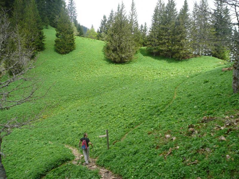 Vert ! Le col de Saulce