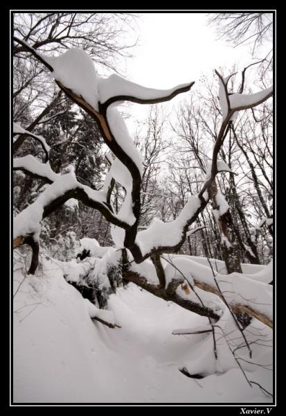 Vestige d'une tempete