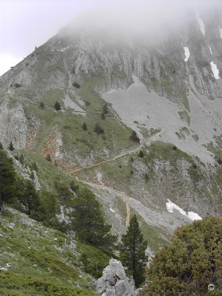 Veymont