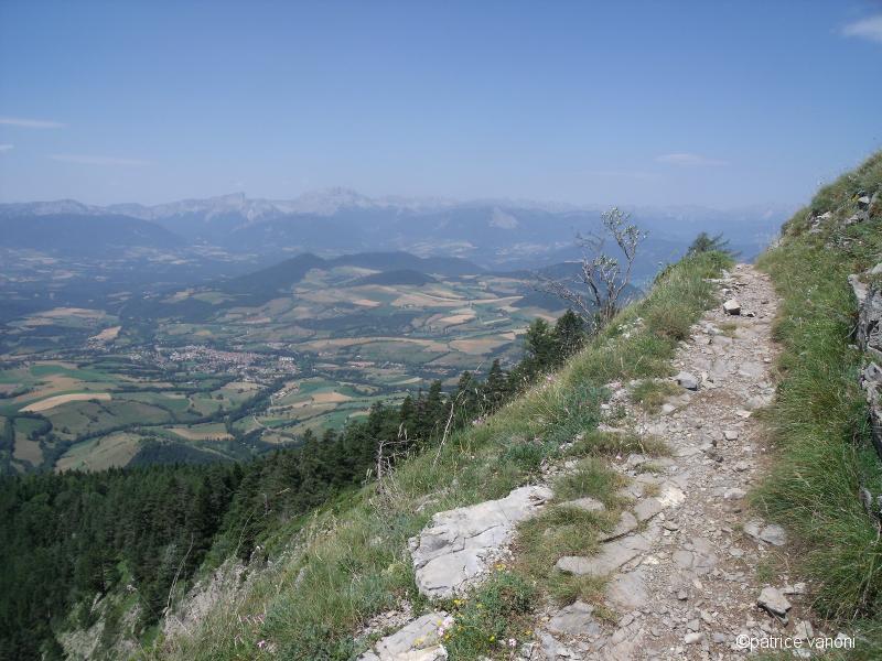 Vire
