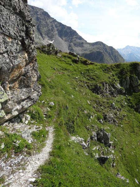 Vire de chamois