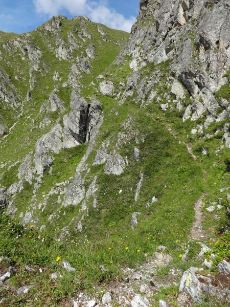 Vire de chamois