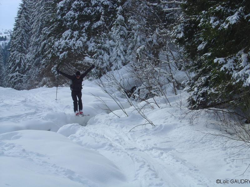 Vol à skis