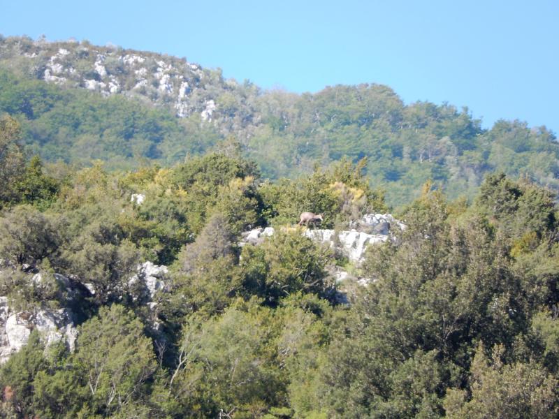 Voûte d'Emeraude