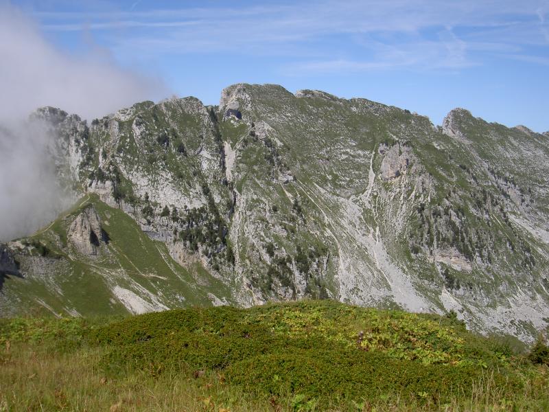 Vue au sommet