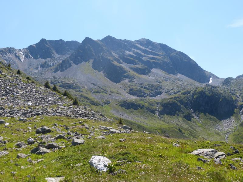 Vue d'ensemble
