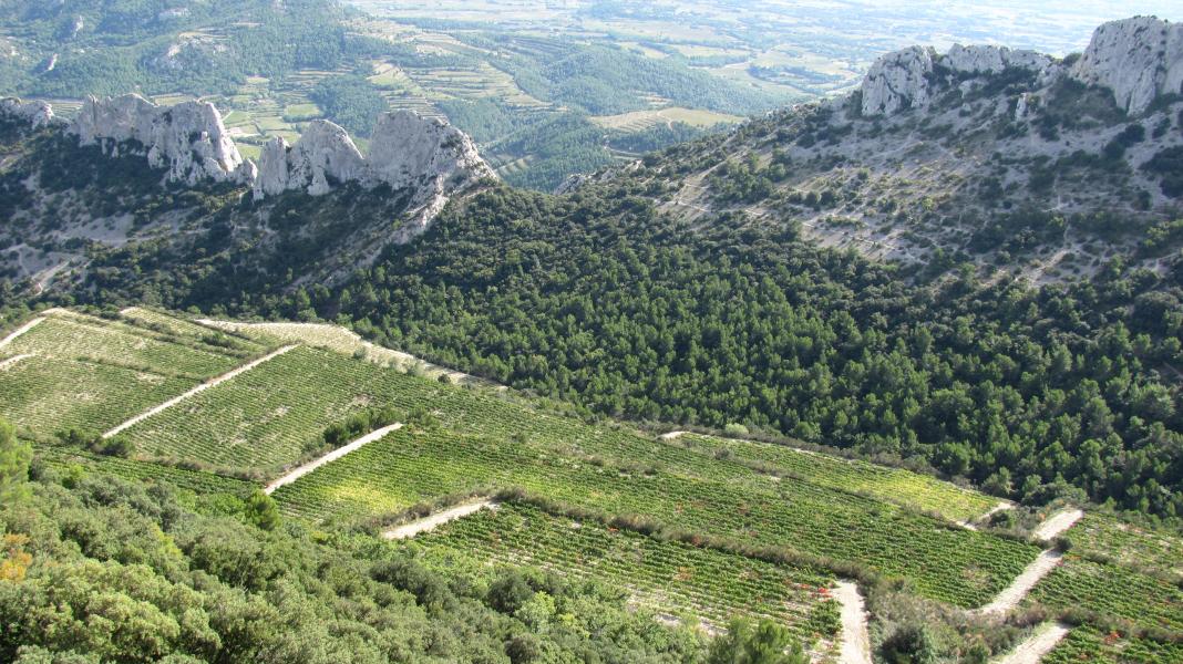 Vue depuis la Terrasse de la chambre du Turc
