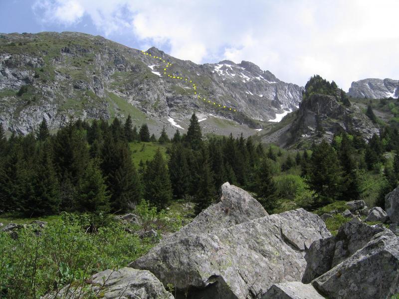 Vue depuis la cabane