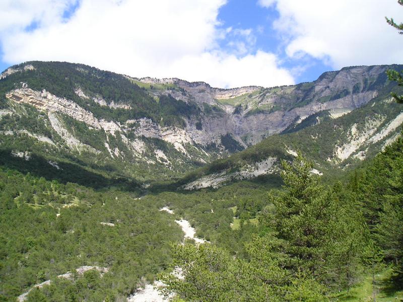Vue générale